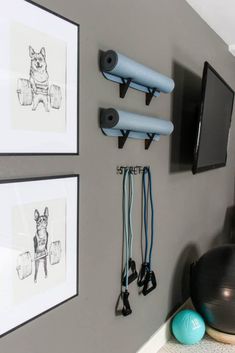 there are some pictures on the wall with hooks and leashes in front of them