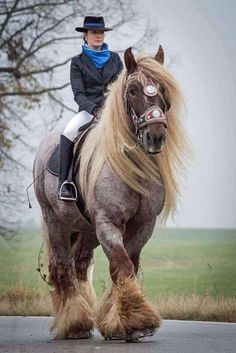 a woman riding on the back of a brown horse