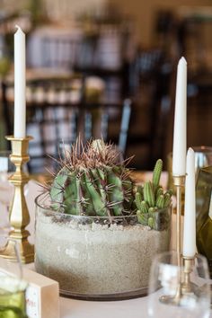 a table topped with a potted plant next to candles