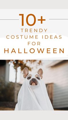 a dog dressed up as a ghost with the words 10 trendy costume ideas for halloween