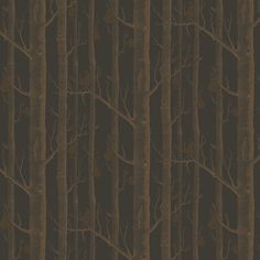 a dark brown forest with lots of trees