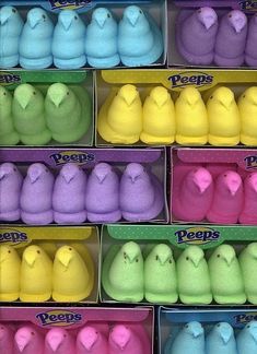 many different colored peeps are in boxes