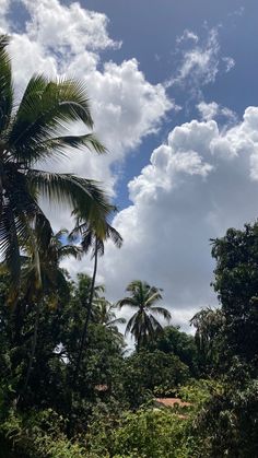 the sky is filled with clouds and palm trees