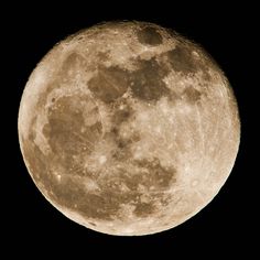 the full moon is seen in the dark sky