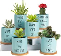 there are many potted plants that say i have no idea what to do with them