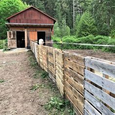 a sheep is standing in the fenced off area next to a barn and trees