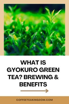 what is gyokro green tea? brewing & benefits - coffeeteakingdom com