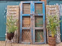 an old wooden door with bars on it and two potted plants next to it