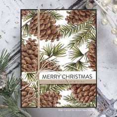 a christmas card with pine cones on it