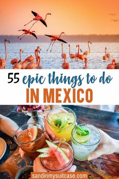 flamingos and cocktails with text overlay that reads, 5 epic things to do in mexico