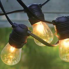 several light bulbs are hanging from a wire in the yard with green grass behind them