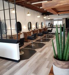 a hair salon with chairs, mirrors and plants in the middle of the room that is empty