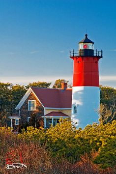 a red and white lighthouse surrounded by trees