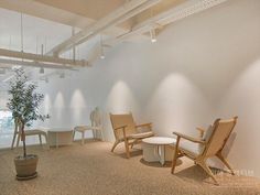 two chairs and a table in a room with lights on the ceiling above them, along with potted plants