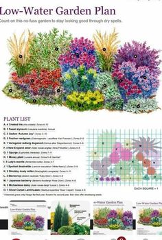 a garden plan with flowers and plants in the center, along with instructions on how to plant them