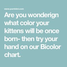 the words are written in white on a light blue background, which reads are you wondering what color your kittens will be once born - then try