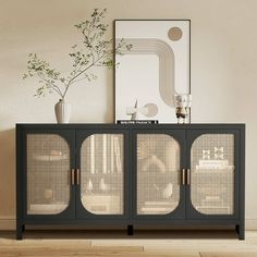 a sideboard with metal mesh doors in an empty living room next to a potted plant