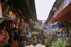 an alley way with many plants and signs on the side of buildings that read alley