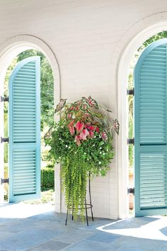 a potted plant sitting on top of a metal stand next to blue shutters