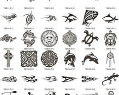 an image of different designs on the back of a tattoo design book, with words written in