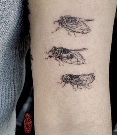 three flies tattoo on the arm