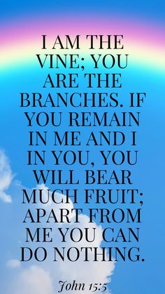 a rainbow with the words i am the vine you are the branches if you remain in me