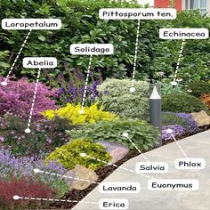 a garden with many different types of plants and flowers in the area that is labeled