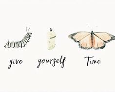 the words give yourself time and butterflies