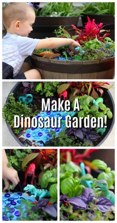 a collage of photos with the words make a dinosaur garden in front of it