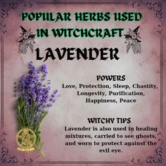 Common herbs used in witchcraft include: - **Sage**: Often used for cleansing and protection. - **Rosemary**: Associated with memory and fidelity, used in rituals for clarity. - **Lavender**: Known for promoting peace and tranquility, often used in love spells. - **Mugwort**: Used for enhancing dreams and psychic abilities. - **Basil**: Believed to attract wealth and protect against negativity. These herbs are valued for their symbolic meanings and practical applications in various magical ... Herbs Used For Protection, Purification Herbs Witchcraft, Herbs For Psychic Abilities, Protection Herbs Witchcraft, Herbs Used In Witchcraft, Herb Meanings, Spiritual Herbs, Witchcraft Herbs, Symbolic Meanings