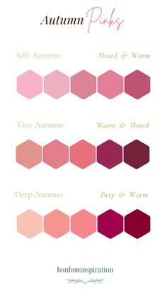 Deep Autumn Pink Palette, Pinks For Dark Autumn, Pink For Autumn Palette, Autumn Pink Color Palette, Dark Autumn Pink Palette, Pink For Deep Autumn, Dark Autumn Pink, Soft Autumn Pink, Warm Skin Tone Colors