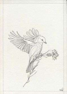 a pencil drawing of a bird on a branch with its wings spread out and flowers in the foreground