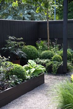 a garden filled with lots of plants next to a tall wooden fence on top of gravel