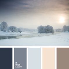 the color scheme for this winter scene is gray, white and grey with trees in the background