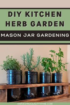 the diy kitchen herb garden has mason jar gardening jars with herbs in them on a shelf