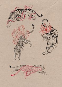 three tigers and a leopard are depicted in this drawing