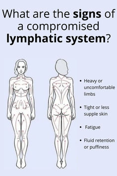 Caring for the lymphatic system is key to ensuring efficient fluid circulation, waste removal, and a feeling of overall wellness. Medicine Recipes, Gentle Movement, Light Exercise