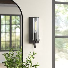 a potted plant sitting on top of a table next to a wall mounted light