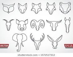 a set of different animal heads in various shapes and sizes on a white background with red lettering