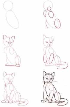 some drawings of cats sitting down and one cat is looking at the camera with its eyes closed