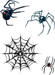 four different types of spider webs on a white background