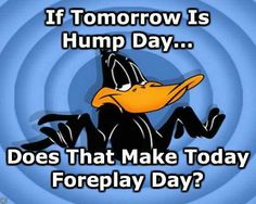 a cartoon duck with the words if tomorrow is hump day does that make today foreplay day?