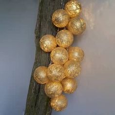 a bunch of gold balls hanging from a tree branch in front of a white wall