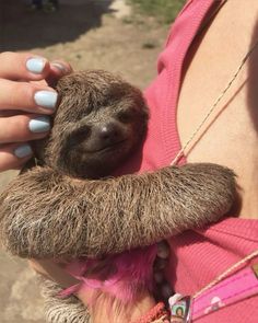 a woman holding a baby sloth in her arms