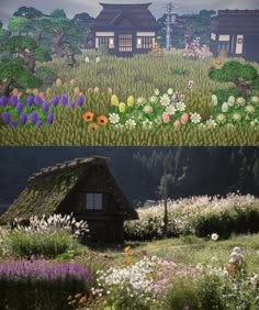 two pictures side by side, one with flowers and the other with grass on it