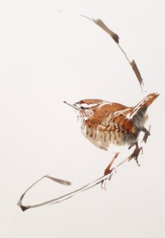 a watercolor painting of a bird on a twig