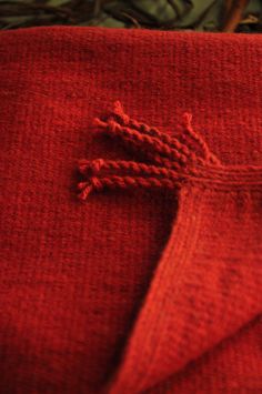 a close up of a piece of red cloth