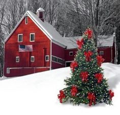 a christmas tree in front of a red barn