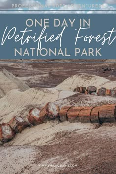 the national park with text that reads one day in petrified forest, national park