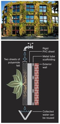 an image of a building with plants growing on the side and below it's windows